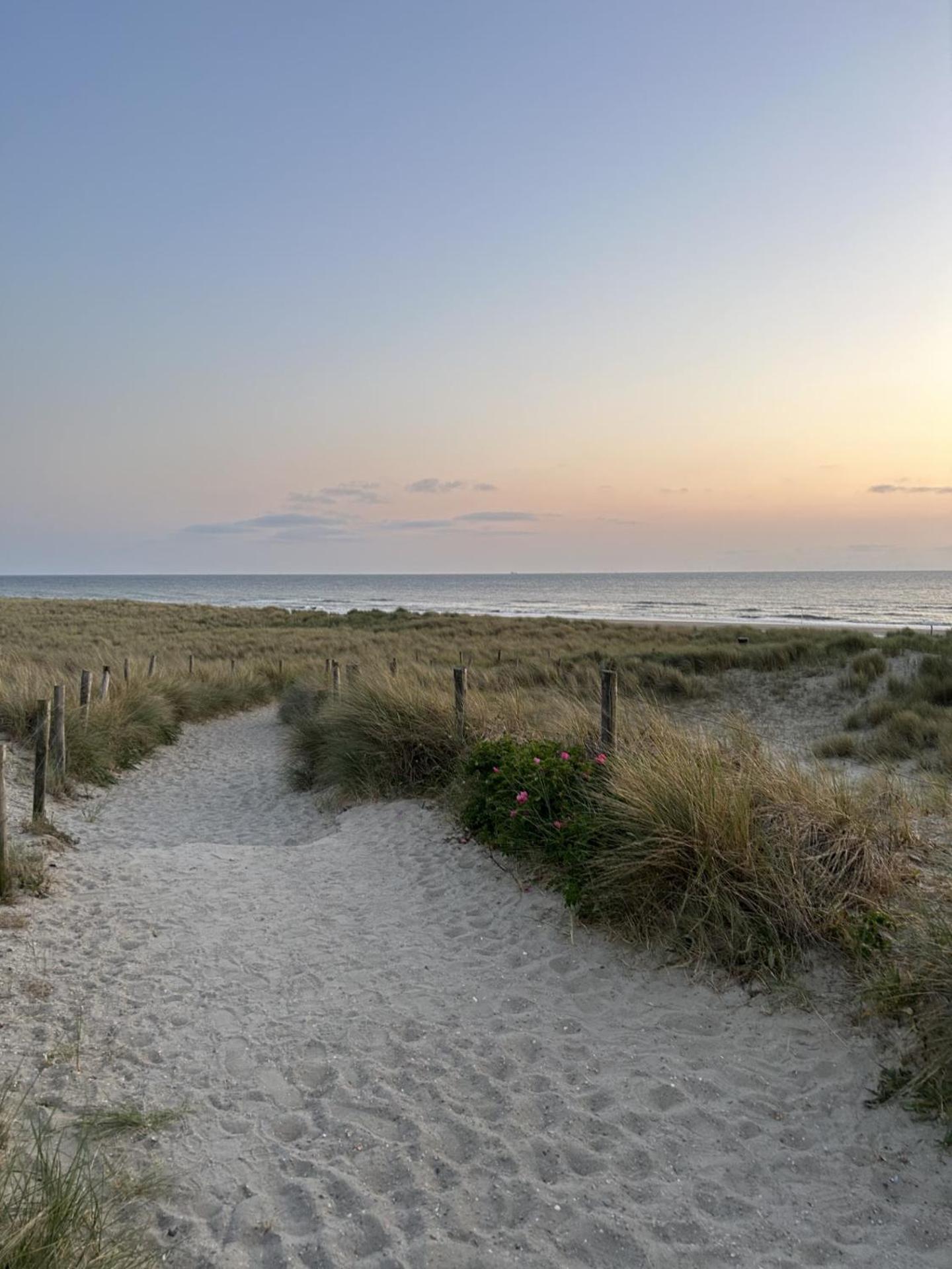 Breezy Beach Chalet Petten Exterior foto